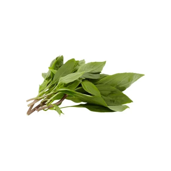 Basil