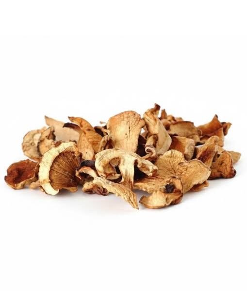 Dry Oyster Mushroom
